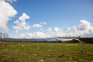 Beheer Zonnepark de Zonneakkers (Zonnig Meeden)