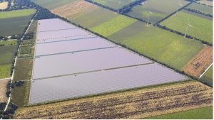 EPC-tenderbegeleiding voor zonnepark Bellingwolde