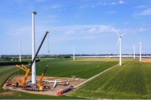 Projectdetail format - Ontwikkeling zonnepark Willem-Annapolder